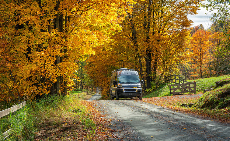 Fourgon sur une route entourée d'arbres aux feuilles oranges et jaune, en automne.