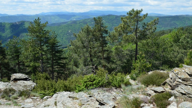 Parc national les Cévennes